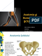 Anatomia Si Biomecanica SOLDULUI