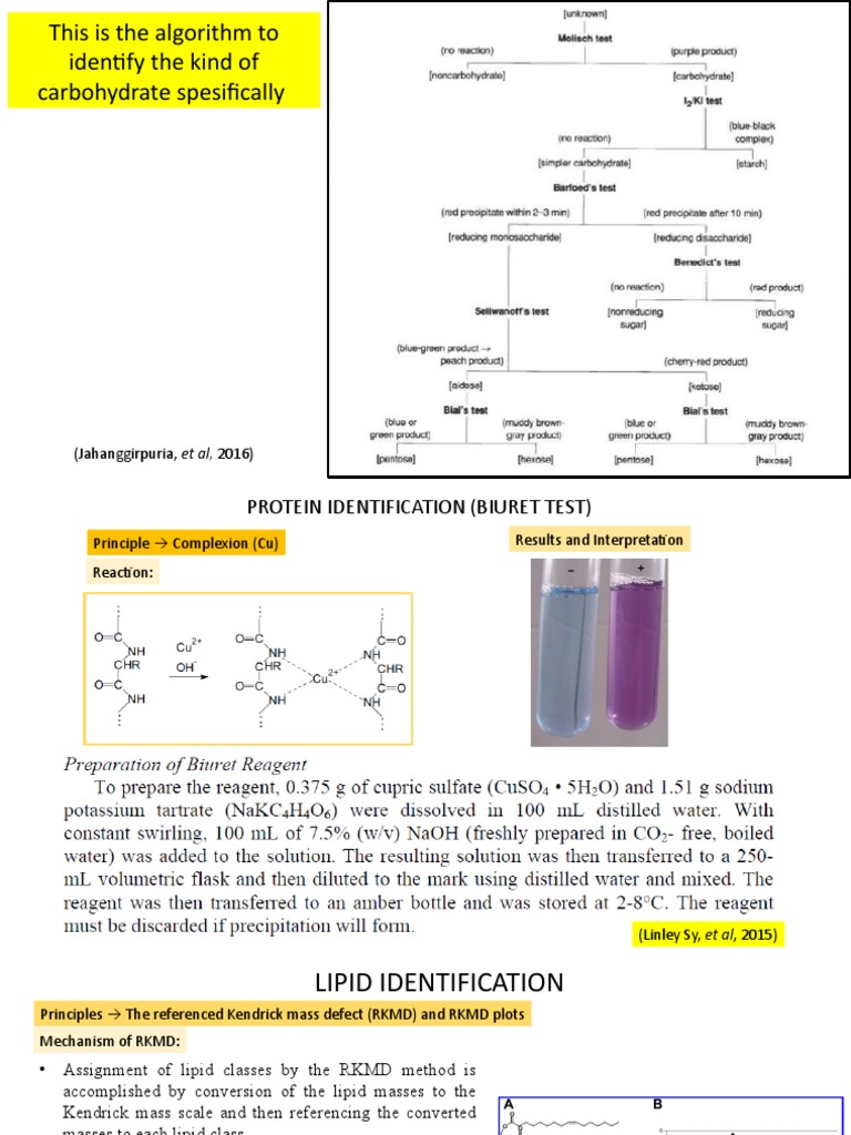 Carbohydrate and Protein Identification Methods | PDF