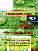 Особенности растительной клетки