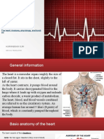 Kurmabekov Ilim: The Heart: Anatomy, Physiology, and Functi On