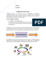 Memorias Analisis Ciclo de Vida