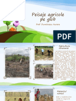 Peisaje Agricole