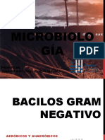 Clase 05 Bacilos Gram Negativo