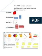 Fisa de Lucru Corpuri Geometrice PDF