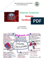 Sistema cardiovascular e respiratório em biomedicina