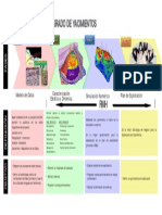 Planificacion de un estudio integrado.pdf