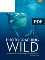 Photographing Wild - Paul Nicklen