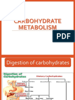 Glycolysis Metabolism
