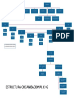 Estructura Organizacional CHG PDF