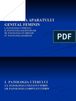 LP Genital Feminin