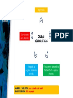 causas demograficas.pptx