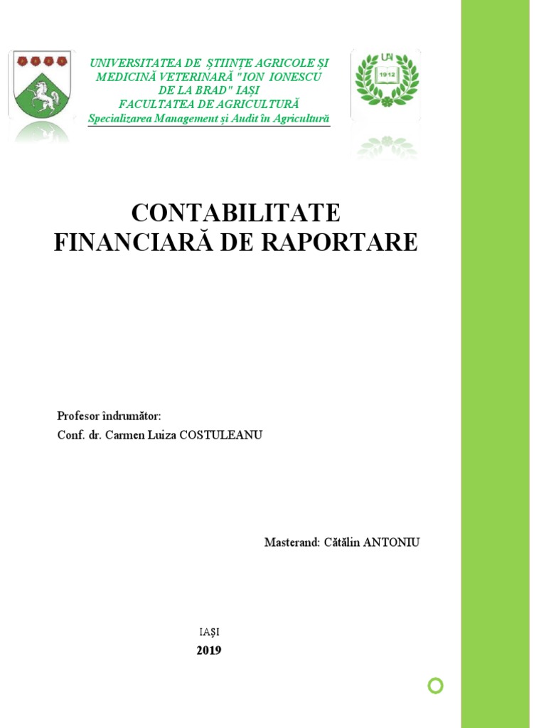 Bilant Contabil | PDF