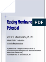 Resting Membrane Potential