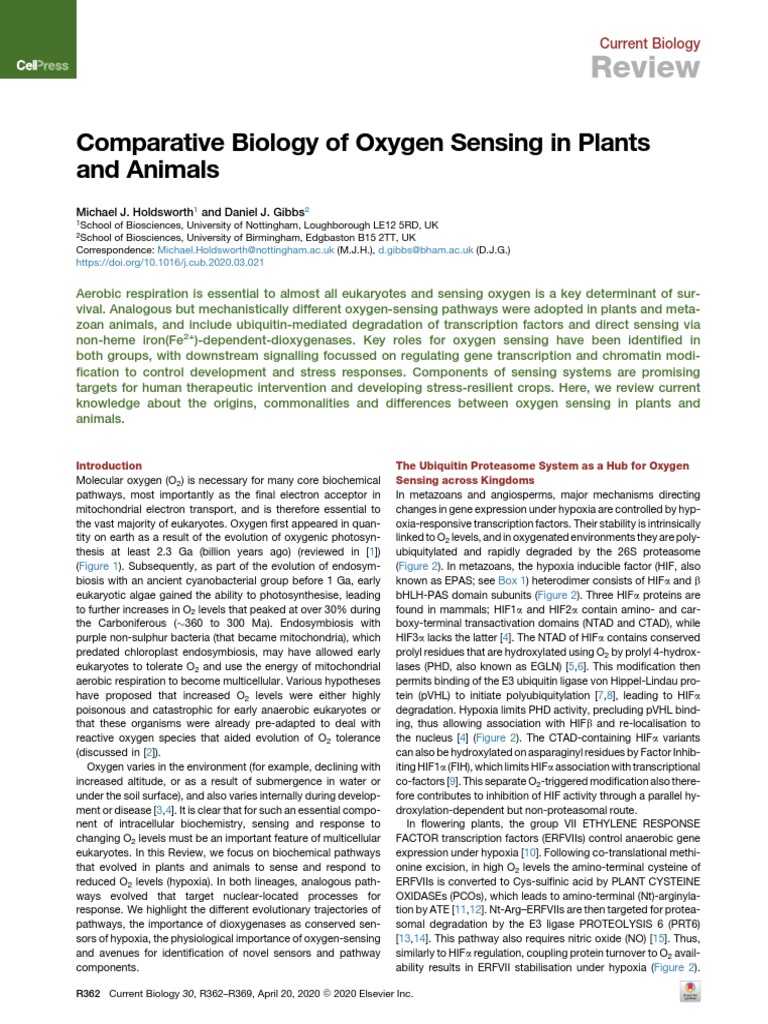 Review: Comparative Biology of Oxygen Sensing in Plants and Animals ...
