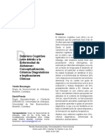 DCL NNN Publicado PDF