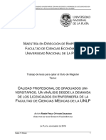 Ottosen, Pablo - Tesis MBA (FCE-UNLP)