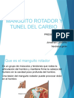 Manguito Rotador y Tunel Del Carbio