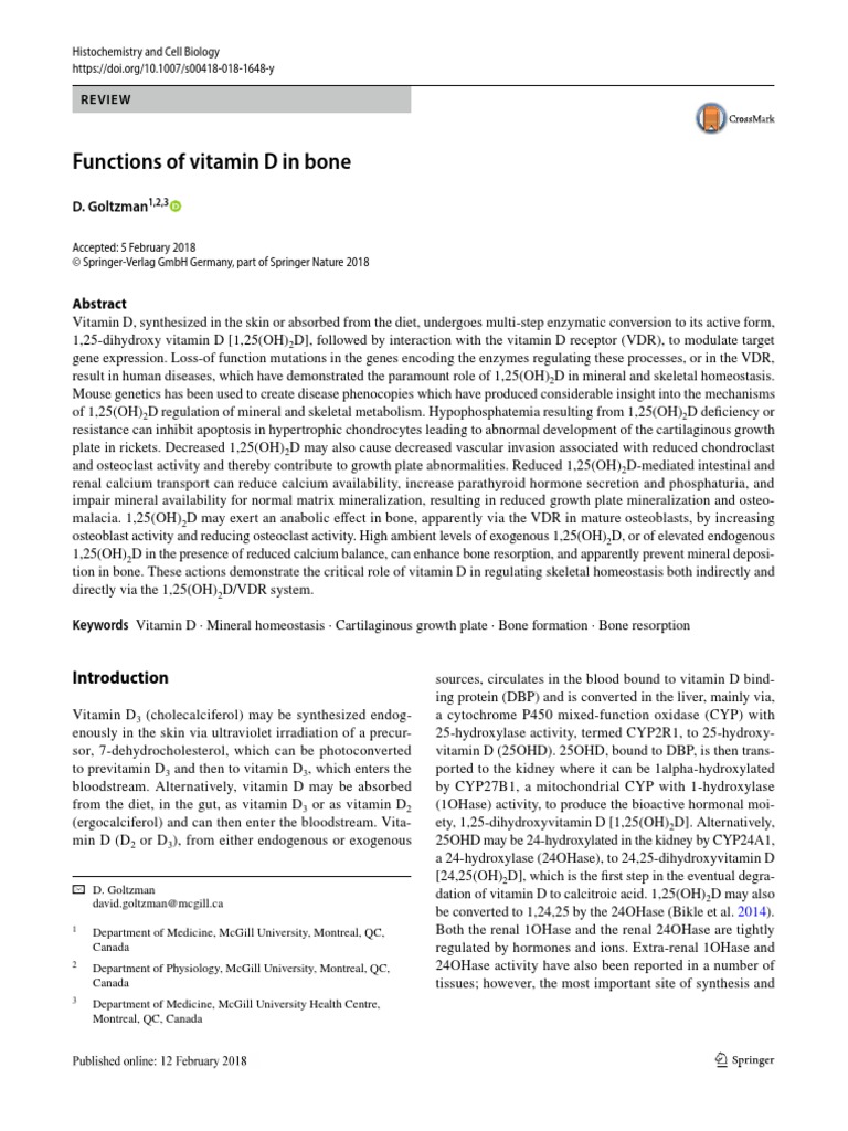 Functions of Vitamin D in Bone | PDF | Osteoblast | Bone