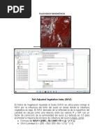 Taller Indices Radiometricos