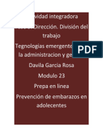 DavilaGarcia_Rosa_M23S2A5_Organizacion_Divisiondeltrabajo