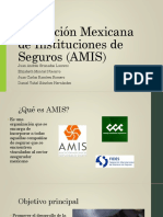 Asociación Mexicana de Instituciones de Seguros