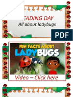 April 30th - All About Ladybugs