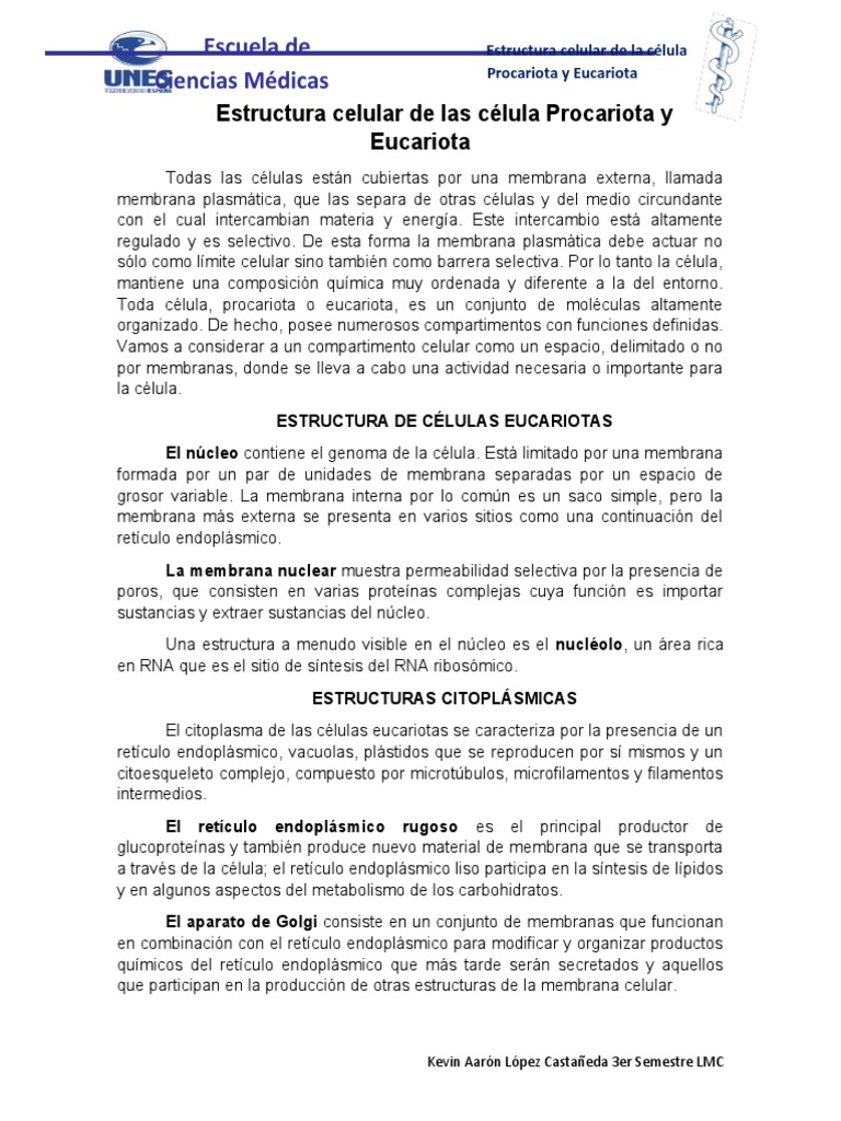 Estructura de Células Procariotas y Eucariotas | PDF | Citoplasma ...