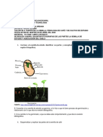 Taller No 4 de Agricultura Urbana Docente Rocio Cedeño PDF