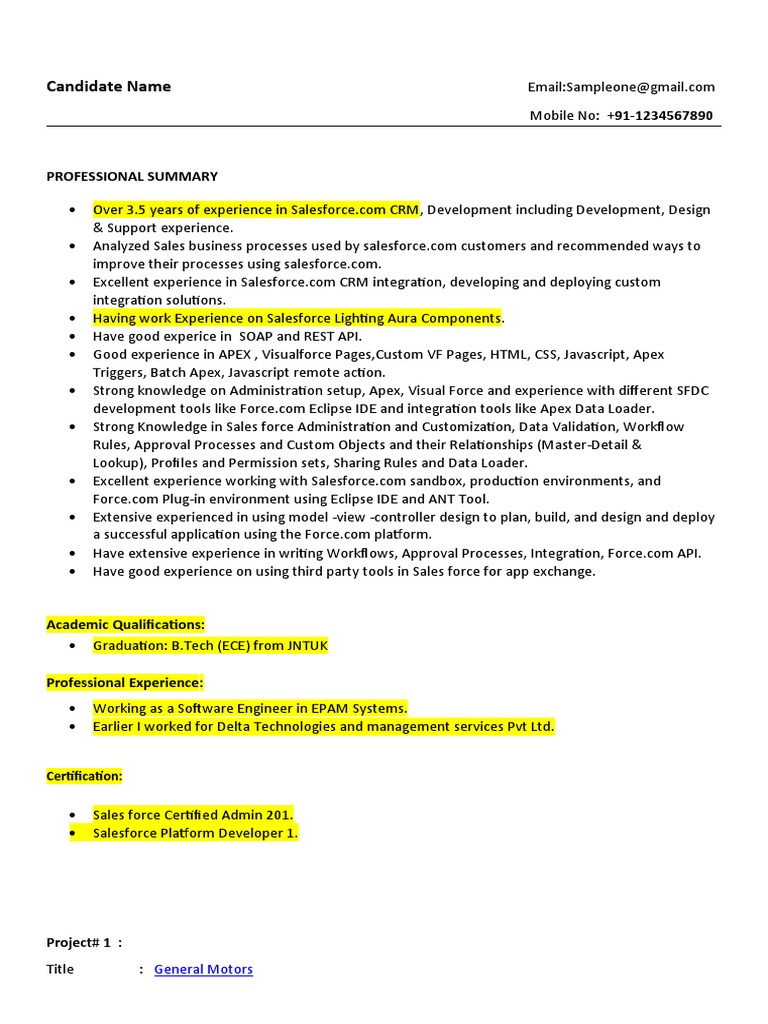 Salesforce Developer with API Expertise | PDF | Information Technology ...