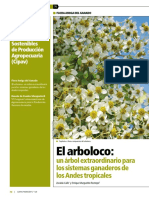 Arboloco PDF