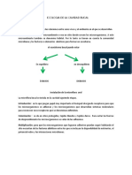 Ecologia de La Cavidad Bucal