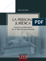 La Persona Juridica Aspectos Problematicos de Su Falta de Representacion PDF
