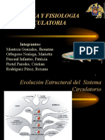 Anatomiayfisiologiacirculatoria 140523111042 Phpapp02