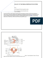 ANATOMY AND PHYSIOLOGY OF THE FEMALE REPRODUCTIVE SYSTE1.docx