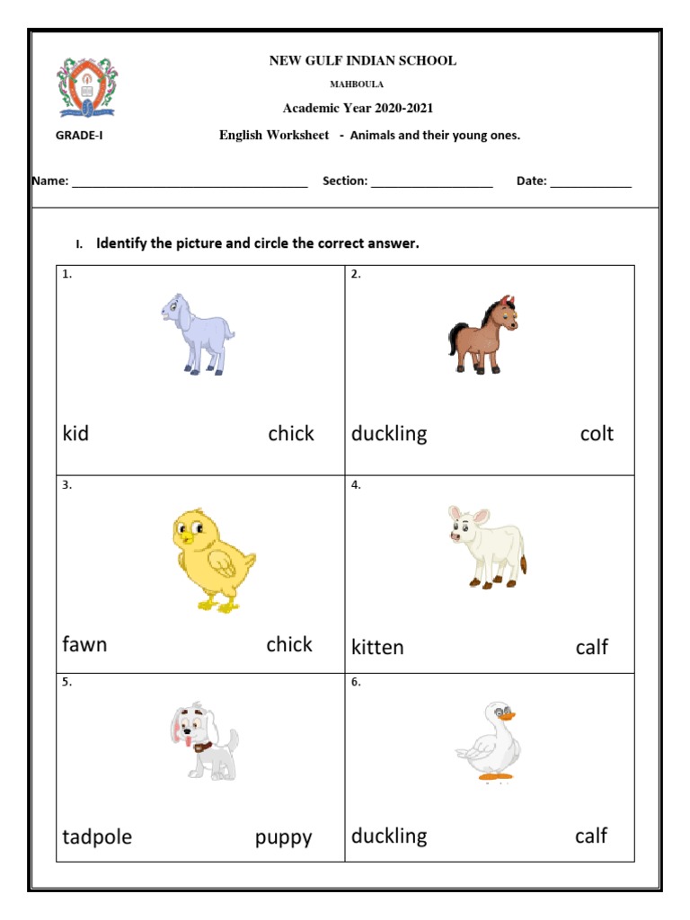 Animals and Their Young Ones Worksheet | PDF