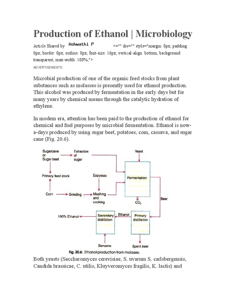 Ethanol Production via Microbial Fermentation | PDF