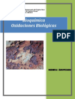 folleto-2-bioquimica-oxidaciones-biologicas.pdf