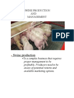Swine Production AND Management