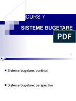 C7 Sisteme Bugetare