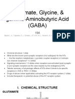 19A Glutamate, Glycine, & GABA