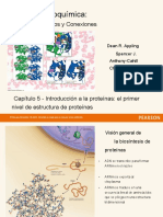 Proteínas en Es PDF