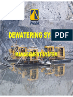 Dewatering System
