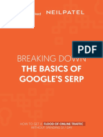 Intro Breaking Down The Basics of Serp PDF