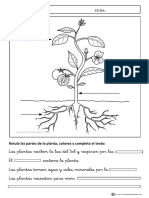 Partes de Una Plantas Actividades 2 PDF