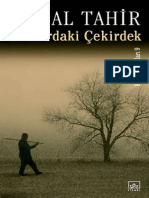 Bozkırdaki Çekirdek