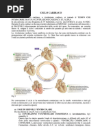 Ciclo_cardiaco