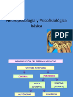 Neuropsicología y Psicofisiológica Básica