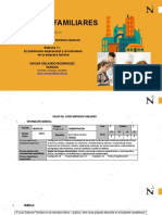 Semana 11 El Patrimonio Empresarial y El Individual en La Empresa Familiar