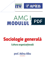 Modulul 7.2 Cultura organizationala (1)