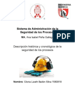 Descripción Histórica y Cronológica de La Seguridad de Los Procesos